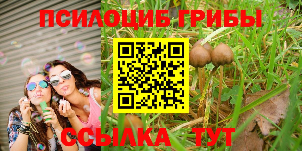 Псилоцибиновые грибы мухоморы Артёмовский