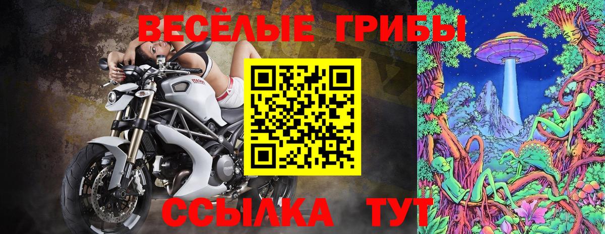 Псилоцибиновые грибы Cubensis  Вход с VPN  Артёмовский 